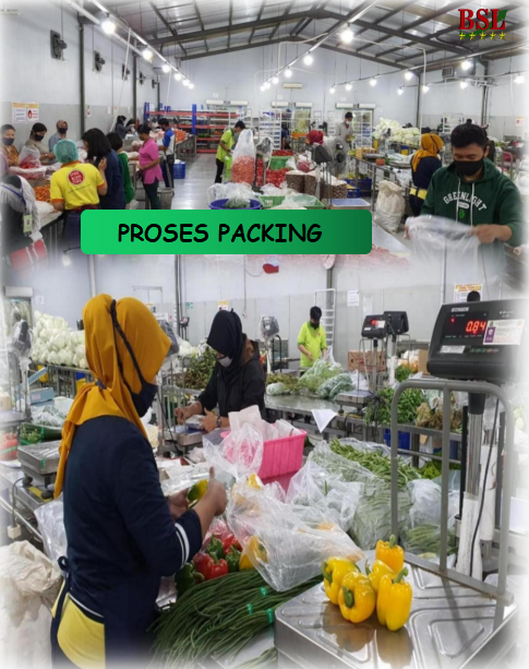 PROSES PACKING